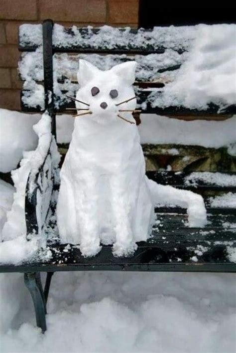 Pin by I ღ Cats on Cat and Snow | Snow fun, Winter fun, Snow sculptures