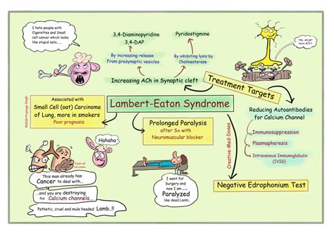 Lambert Eaton syndrome: NMJ disorder - Creative Med Doses