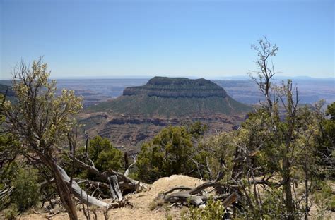 Kaibab National Forest Releases Revised Management Plan | KNAU Arizona Public Radio