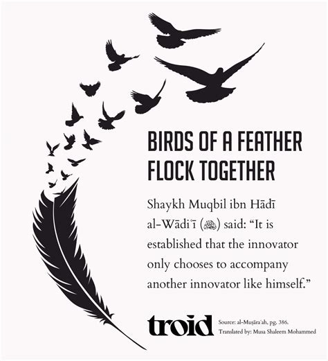 Birds of a Feather Flock Together - troid.org | Digital Daʿwah