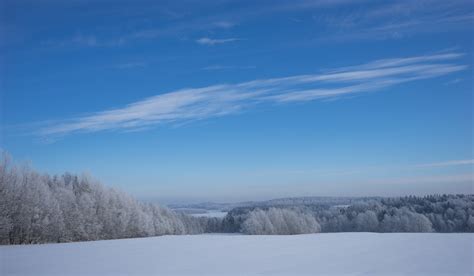 Belarus winter forest | Roma Alpatov | Flickr