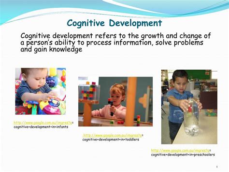 Stages Of Cognitive Development In Infants | ubicaciondepersonas.cdmx ...