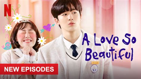 A Love So Beautiful (2020) - Netflix | Flixable