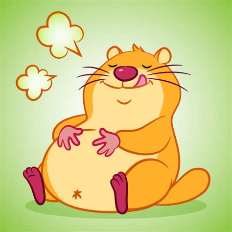 Hamster Glutton Illustrations, Royalty-Free Vector Graphics & Clip Art - iStock