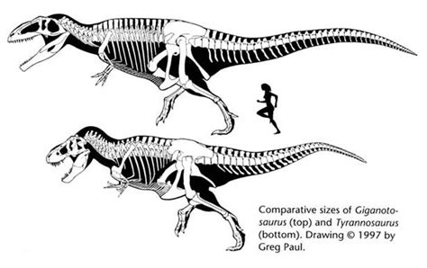 Animaux préhistoriques, Art de dinosaures, Tyrannosaure