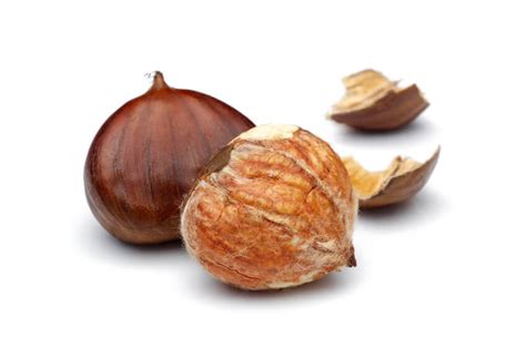 Chestnuts VS Hazelnuts | The Advantages And Disadvantages Of Each