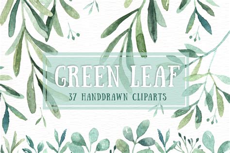 Green Leaf Watercolor clipart | Illustrations ~ Creative Market