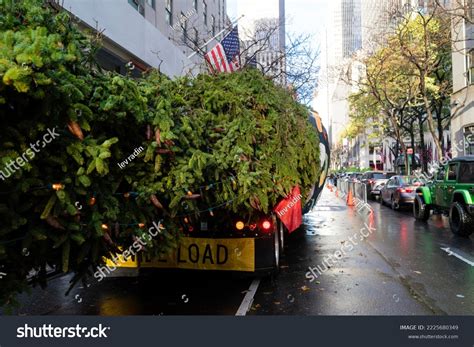 2022 Rockefeller Center Christmas Tree 82foot Stock Photo 2225680349 ...