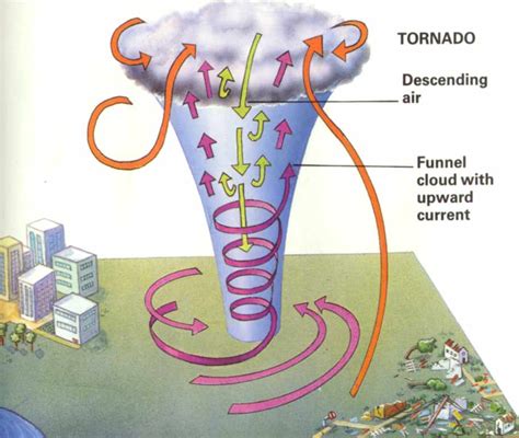 Green Sligo: All about Tornado's