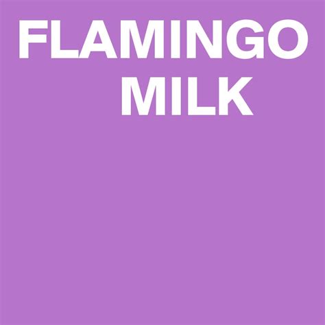 FLAMINGO MILK - Post by Campo on Boldomatic