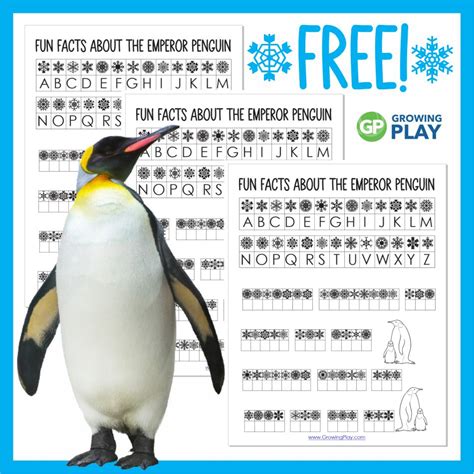 Emperor-Penguin-Free-Facts - Growing Play