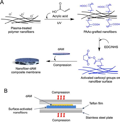 A Schematic of PAAc-grafting on electrospun nanofiber mesh, carboxyl... | Download Scientific ...