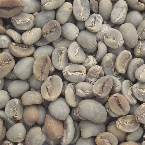 Blue Moon Coffee Beans / Coffee Consumers | Bali Blue Moon Organic, Rain Forest ... : A ...
