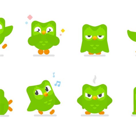 How To Draw Duolingo at How To Draw