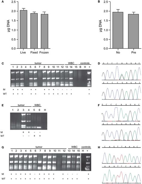 Whole genome amplification and targeted sequencing of single cells.... | Download Scientific Diagram