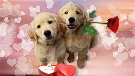 Valentines Animals Desktop Wallpapers - Wallpaper Cave