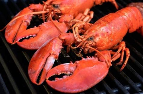 How to Cook Lobsters on the Grill without Ruining Them | Grilled ...