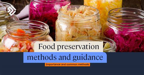 Food Preservation Methods & Guidance | High Speed Training