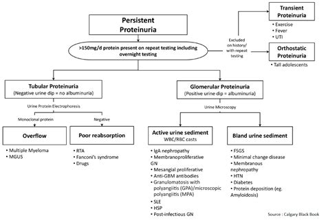 Approach to Hematuria and Proteinuria - Manual of Medicine