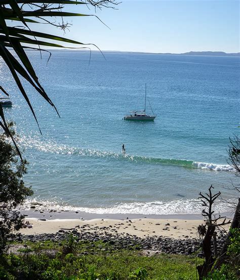 A Spectacular Noosa Heads Walk & the Eumundi Markets