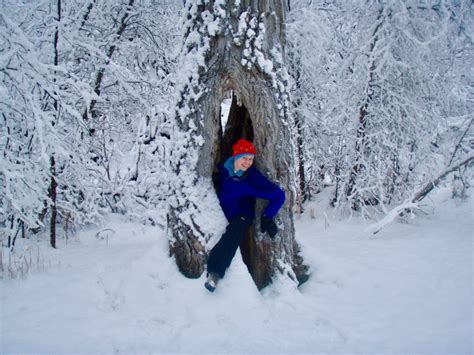 Hiking the Alaskan Wilderness - Quick Whit Travel