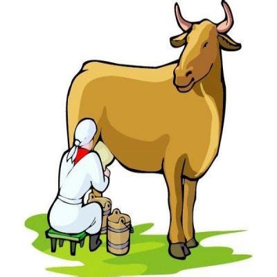 Free Cow Poop Cliparts, Download Free Cow Poop Cliparts png images, Free ClipArts on Clipart Library