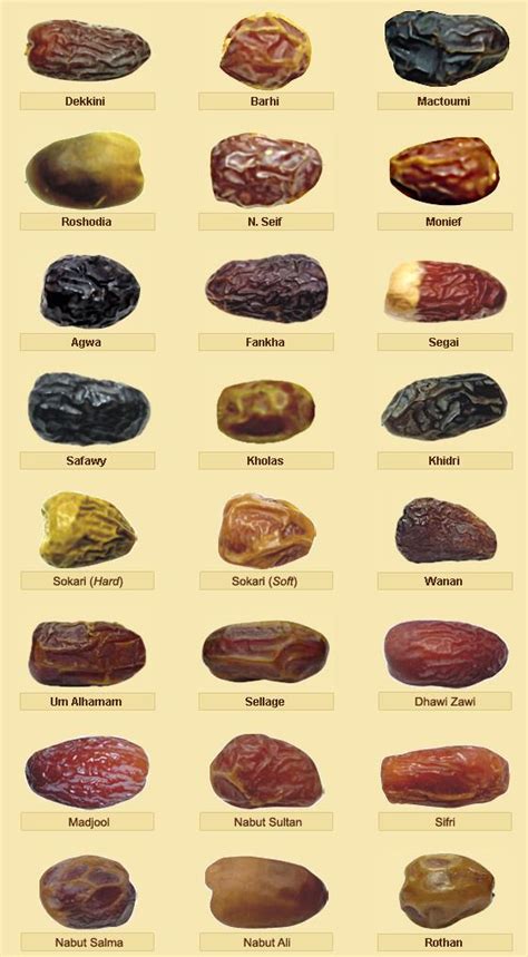 Types Of Dates - tacitceiyrs