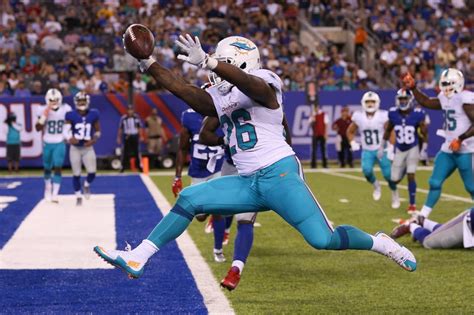 Which Miami Dolphins running backs will make the team?