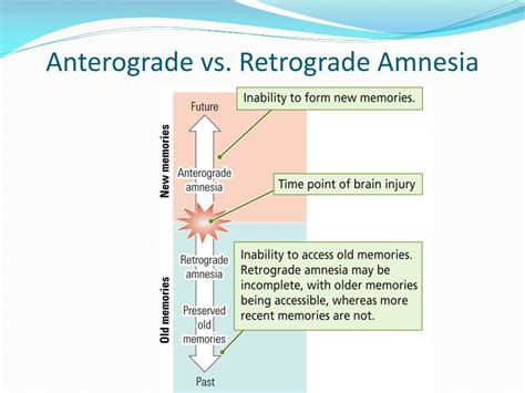 What Is Retrograde Amnesia - Janka Ainslee