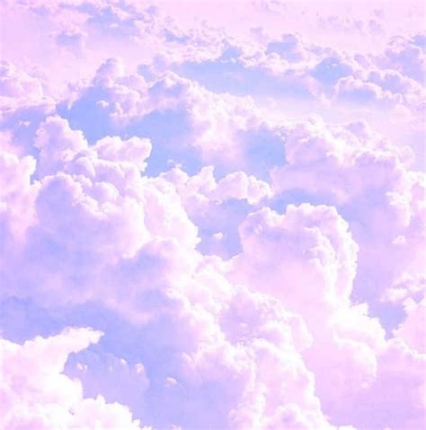 [200+] Lavender Aesthetic Backgrounds | Wallpapers.com