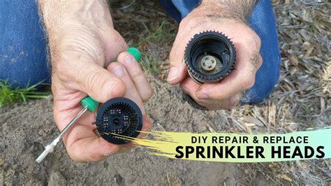 DIY Sprinkler Head Repair & Replace - YouTube