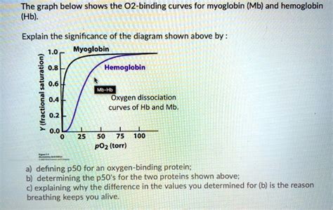 SOLVED: The graph below shows the O2-binding curves for myoglobin (Mb) and hemoglobin (Hb ...