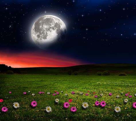 Moon night, abstract, landscape, love, nature, view, HD wallpaper | Peakpx