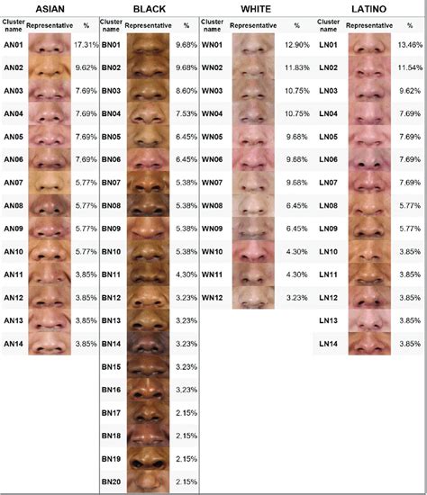 Nose Types Chart By Ethnicity