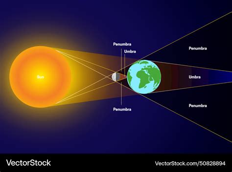 Solar eclipse with penumbra and umbra sun moon Vector Image