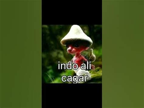 indo ali meme - YouTube