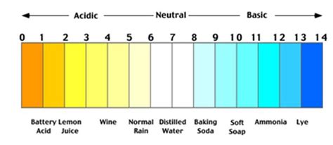 What is the pH of Distilled Water? - 99Science