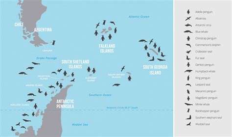 Top 101+ How many species of animals are there in antarctica ...