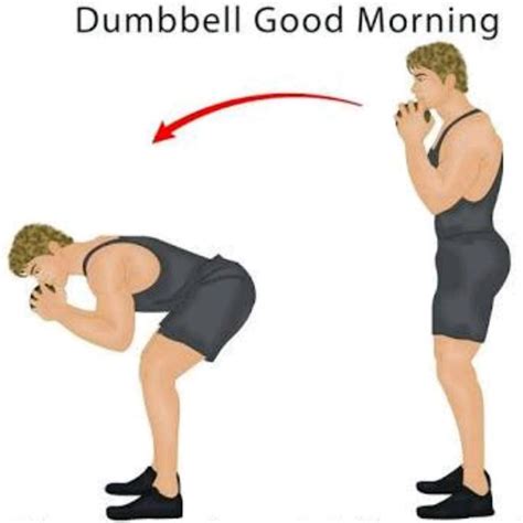 How To Do Good Morning Exercise – Online degrees