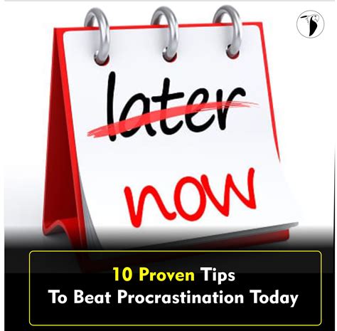 10 Proven Tips to Beat Procrastination Today - THE PARROTER