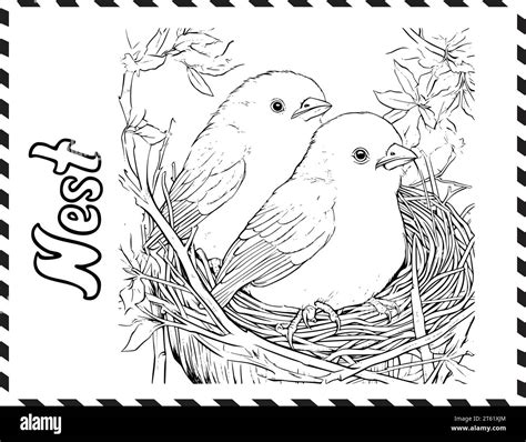 Dibujos para colorear pollitos Imágenes vectoriales de stock - Alamy