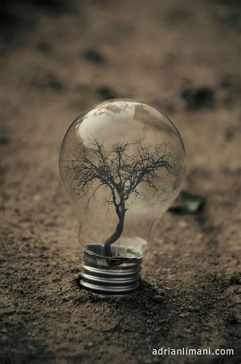 My Photo Project 'Life Inside A Light Bulb' | Bored Panda