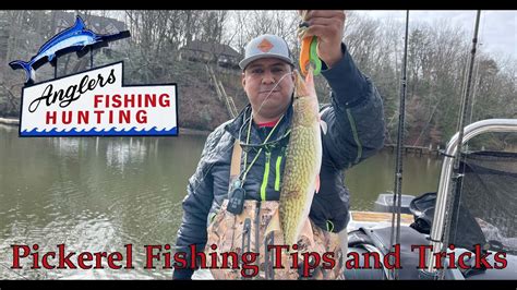 Pickerel Fishing Tips, Tricks and How To's - YouTube