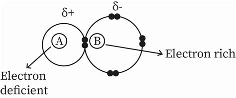 Polarizability In Organic Chemistry | bartleby