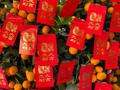 7 Chinese New Year traditions to fill your holiday with joy, luck and ...
