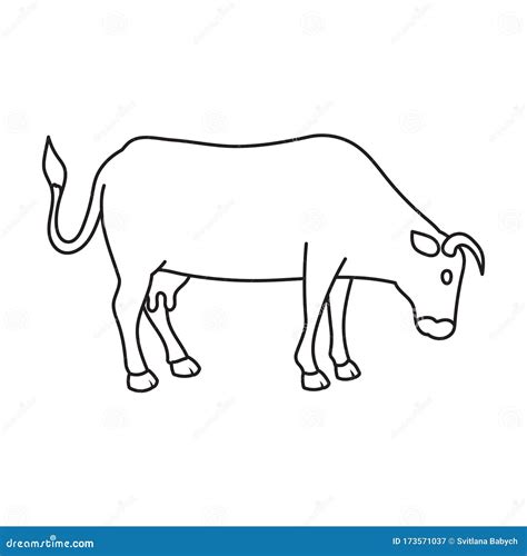 Cow of Animal Vector Icon.Outline Vector Icon Isolated on White Background Cow of Animal. Stock ...