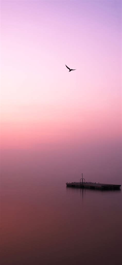 bird flying over body of water during daytime #animal #bird #nature # ...