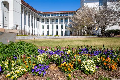 Goizueta Business School’s Executive MBA Program Rises in Poets & Quants Ranking - EmoryBusiness.com