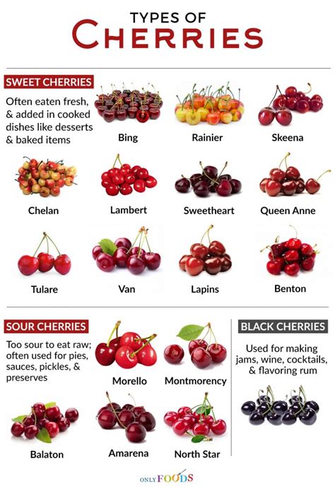 17 Different Types of Cherries to Cook with or Eat Fresh