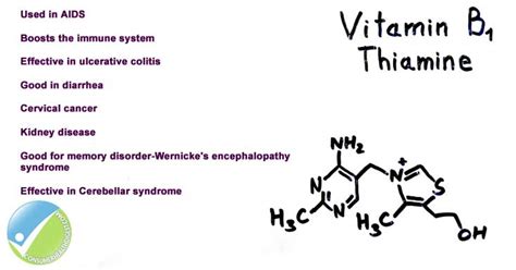 Thiamine: Health Benefits, Side Effects, Interactions and Supplements